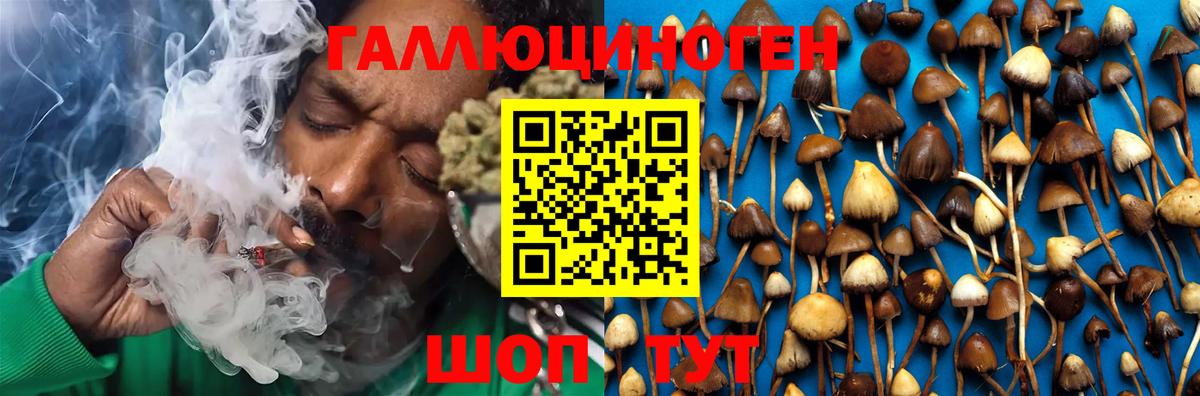 Псилоцибиновые грибы мухоморы Карпинск